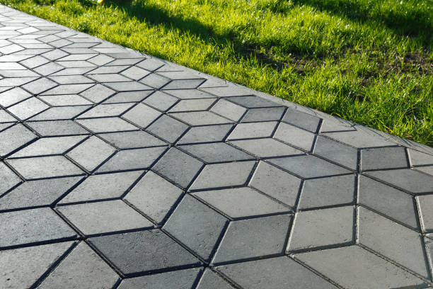 Best Residential Paver Driveway  in Rio Bravo, TX